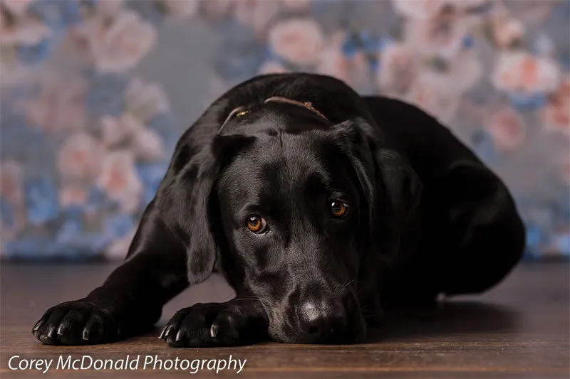 Blue Floral Photography Backdrop-Rose Master