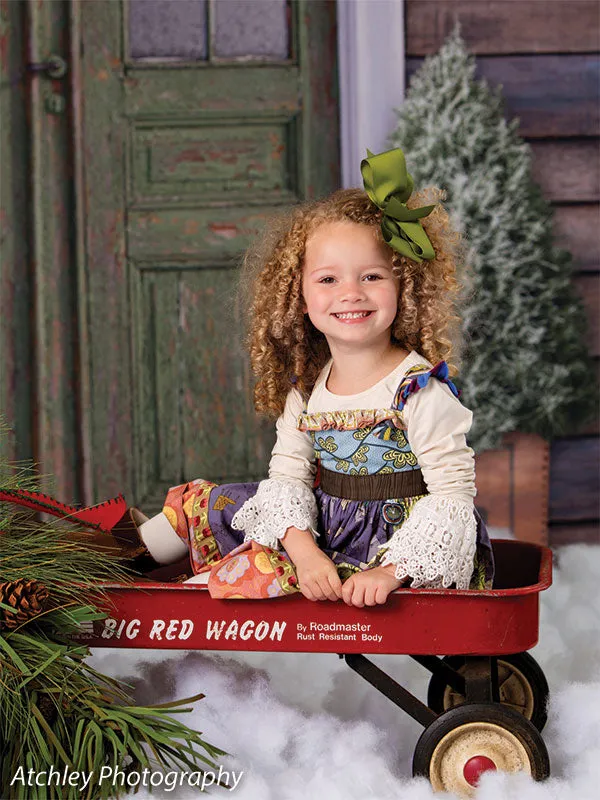 Christmas Front Door Printed Photography Backdrop