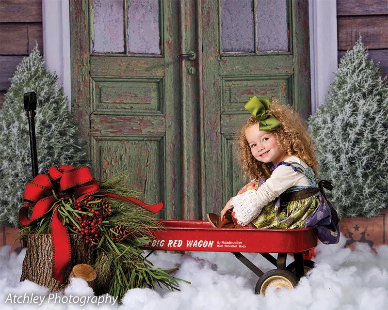 Christmas Front Door Printed Photography Backdrop