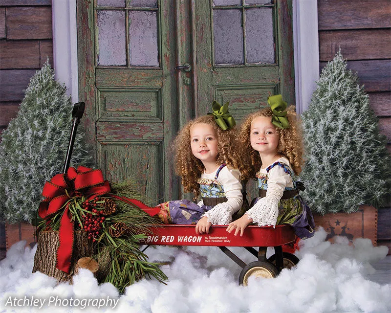 Christmas Front Door Printed Photography Backdrop