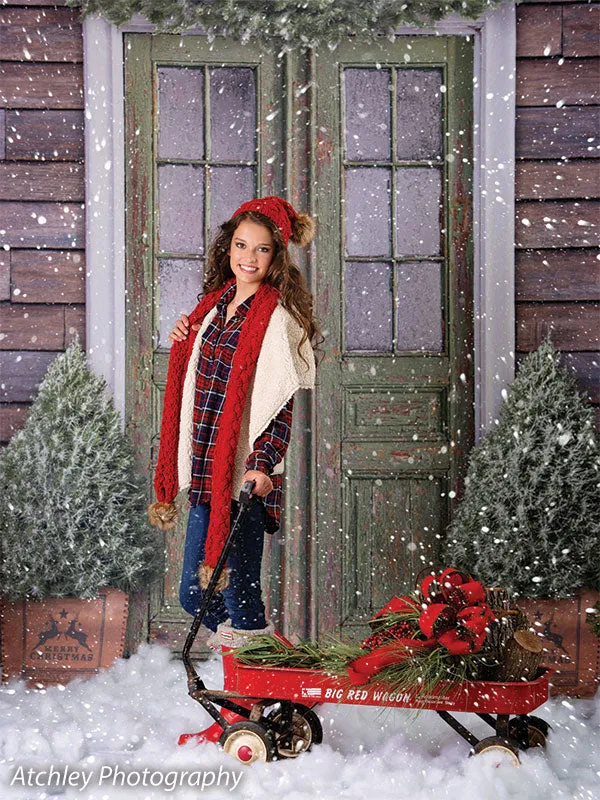 Christmas Front Door Printed Photography Backdrop