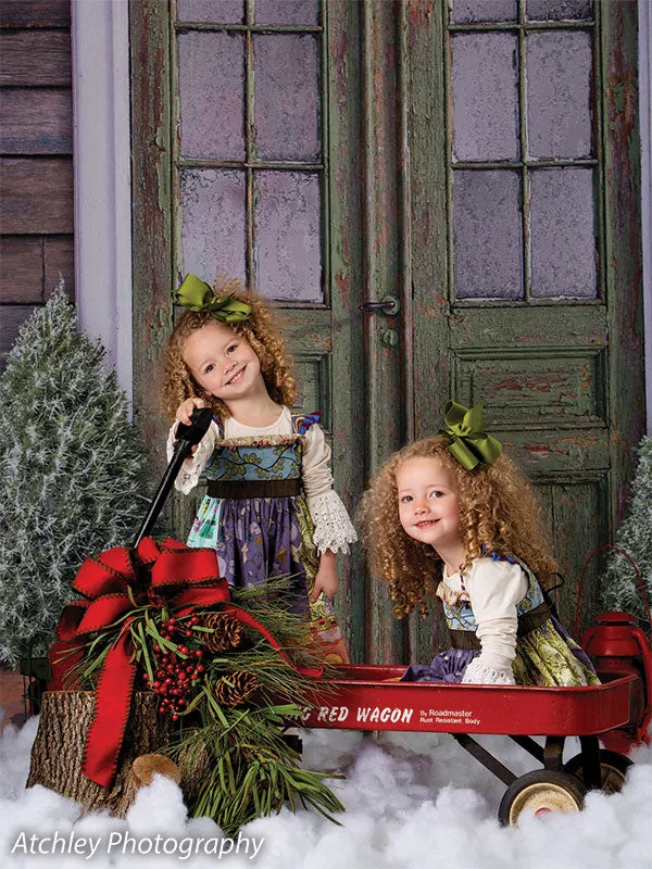 Christmas Front Door Printed Photography Backdrop