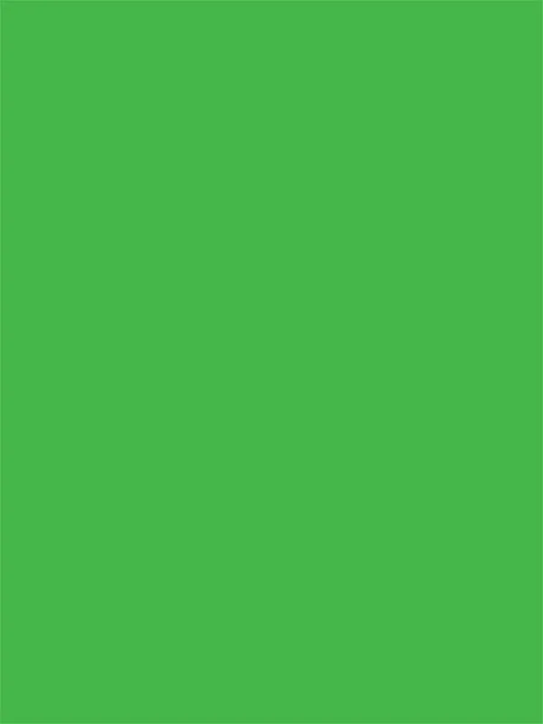 Chroma Key Green Cloth Backdrop