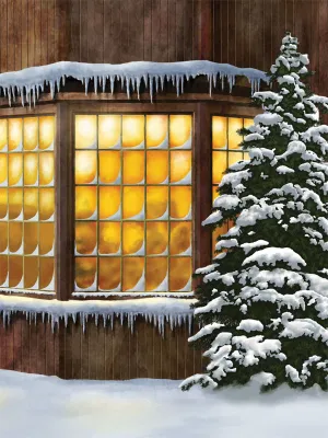 Classic Holiday Window and Snowy Tree Photography Backdrop