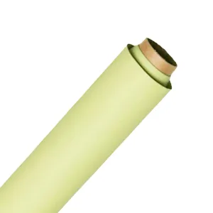 Spectrum Non-Reflective Full Paper Roll Backdrop (2.2 x 10M) - Smashed Avocado Green